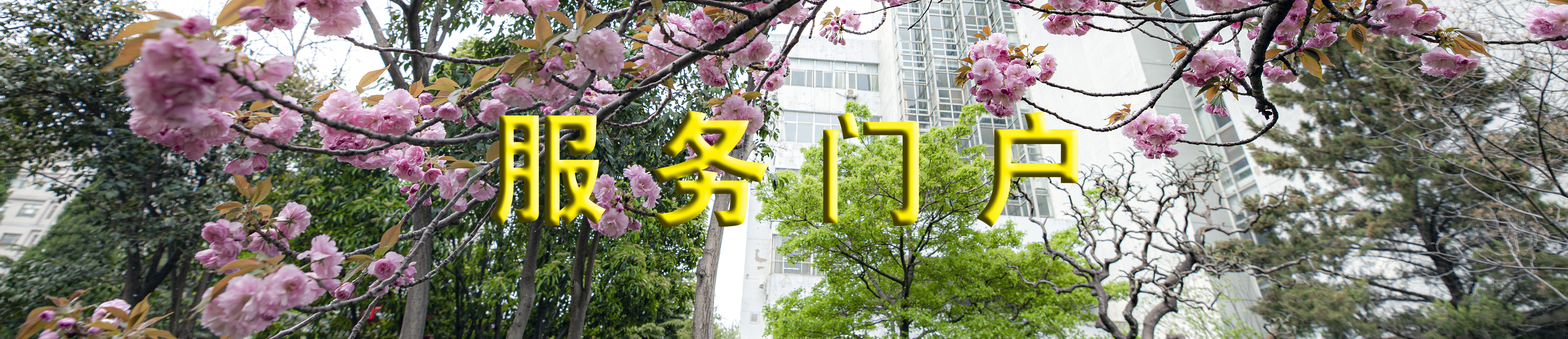 必赢集团bwin