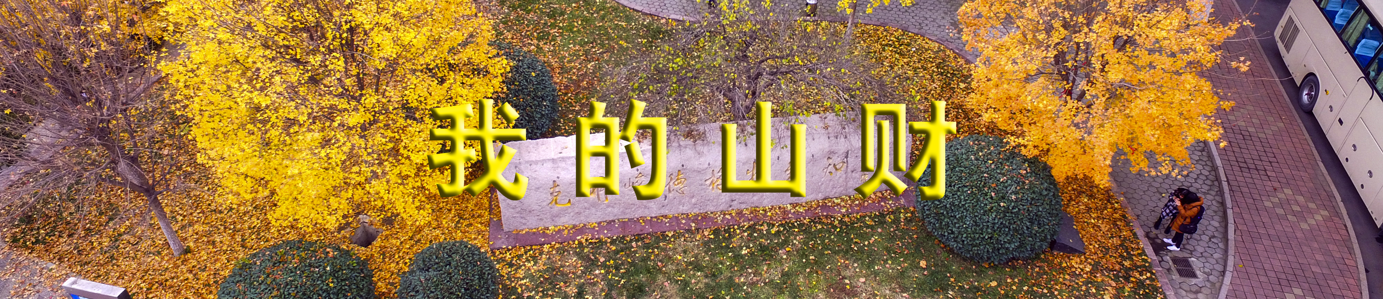 必赢集团bwin